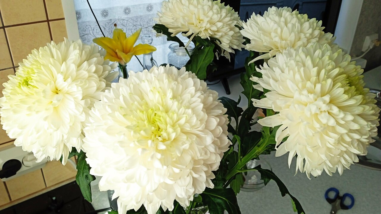 Апарт-отель МонрепоАпарт Выборг-73