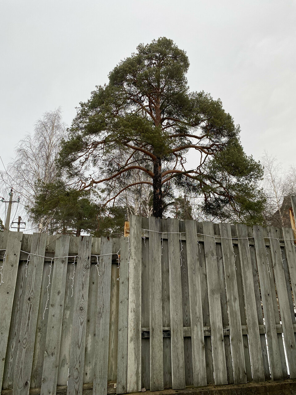 Апарт-отель МонрепоАпарт Выборг-65