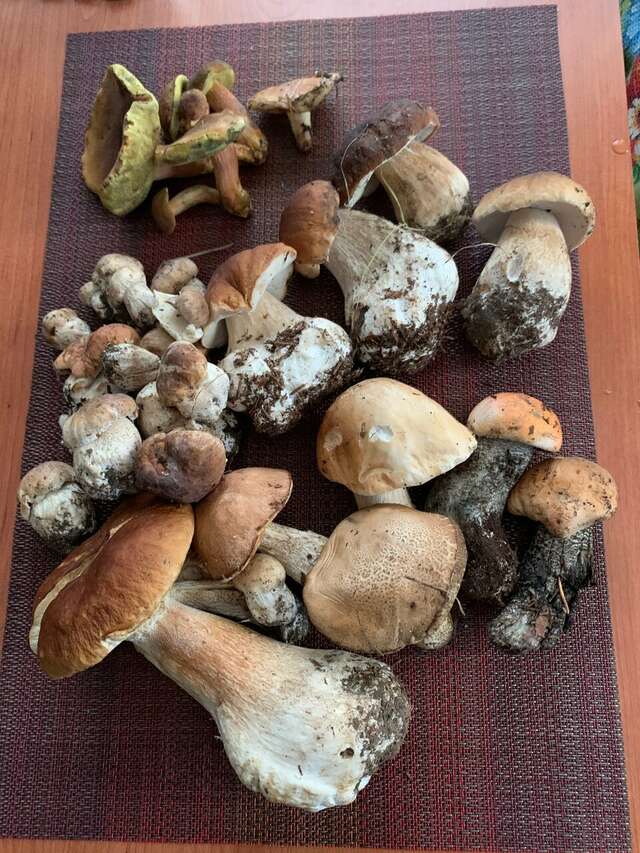 Апарт-отель МонрепоАпарт Выборг-65