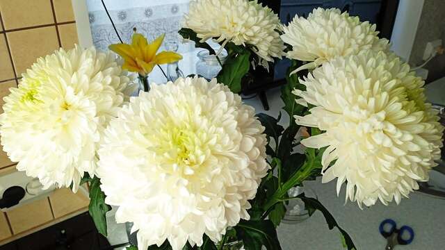 Апарт-отель МонрепоАпарт Выборг-72