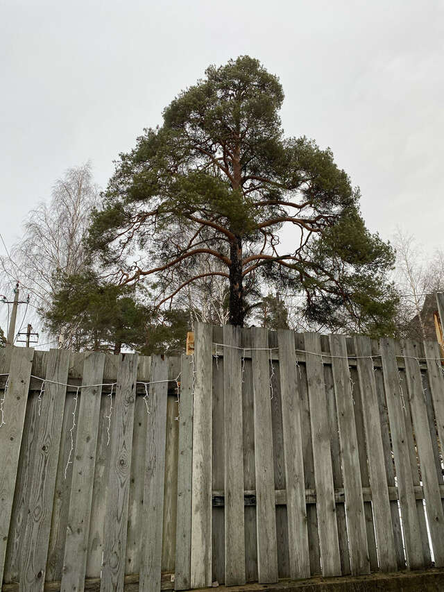 Апарт-отель МонрепоАпарт Выборг-64