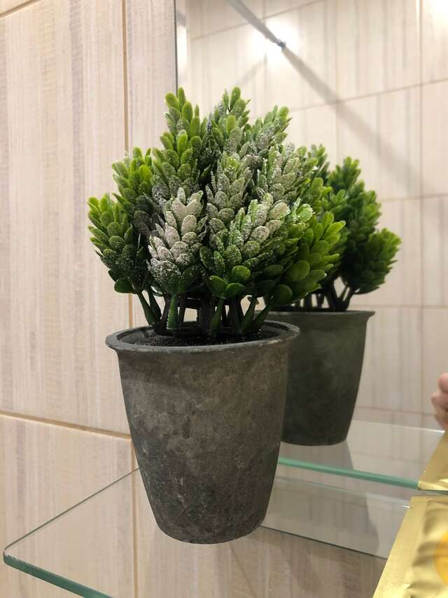 Апарт-отель МонрепоАпарт Выборг-91