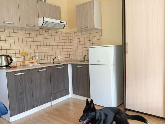 Апарт-отель МонрепоАпарт Выборг-70