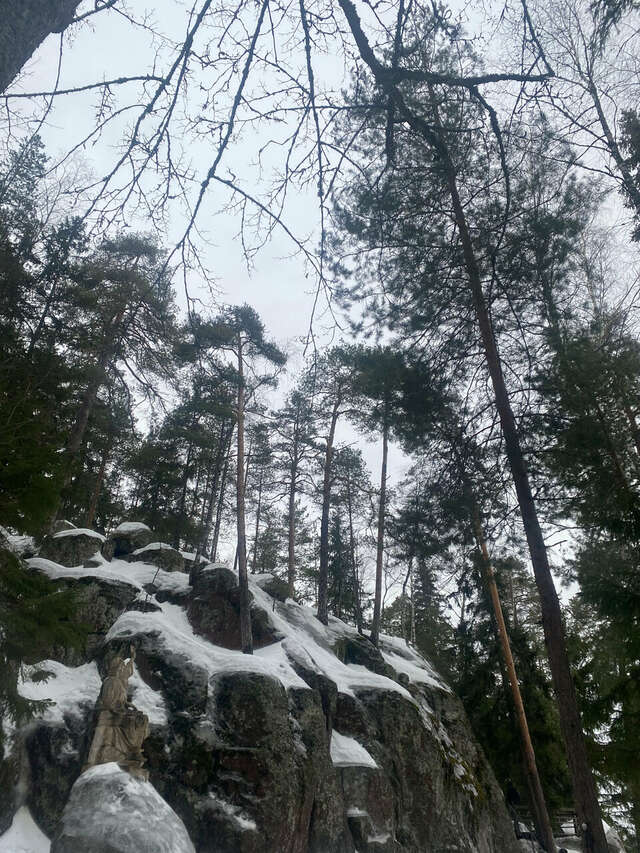 Апарт-отель МонрепоАпарт Выборг-118